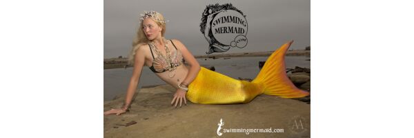 Ides Goldfish Tail