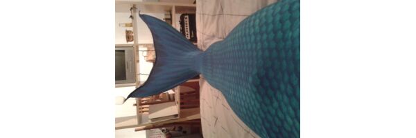 my tail