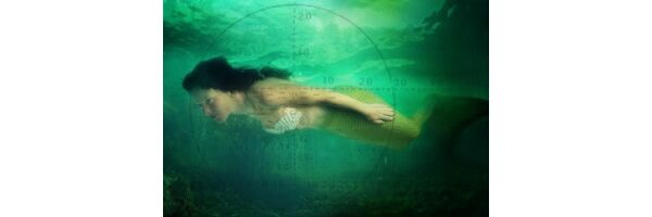 Mermaid reef