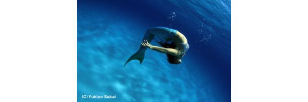 wonderful mermaids