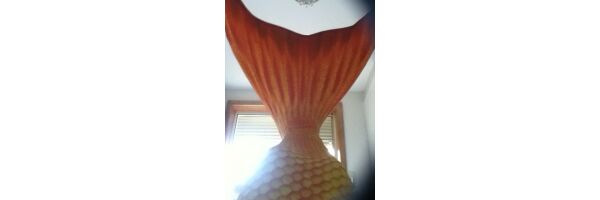 My awesome new Tail