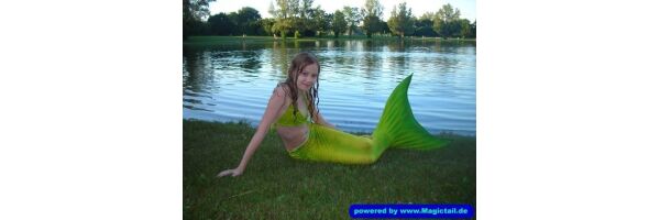 That is my new image gallery