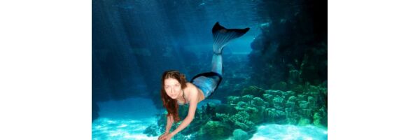 Mermaid Caltuna