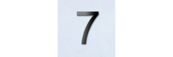 Seite 7