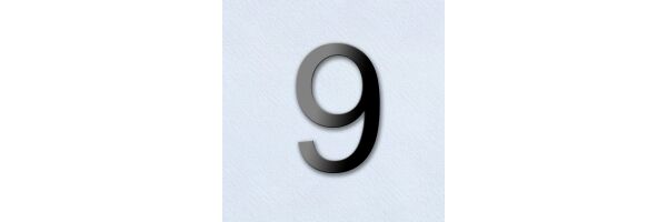 Seite 9