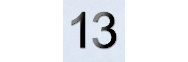 Seite 13