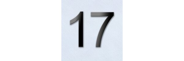 Seite 17