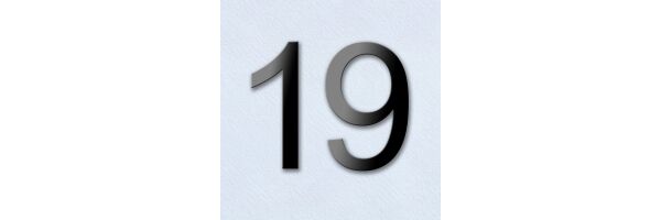 Seite 19