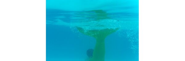 The 3 Tails Swimming