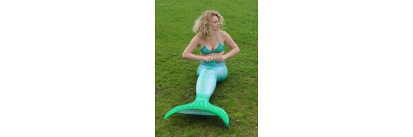 Ariel for one day