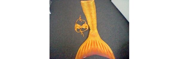 My new Tail