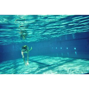 Swim