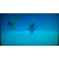 The mermaids are swimming