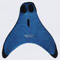 Fin Fun AMP