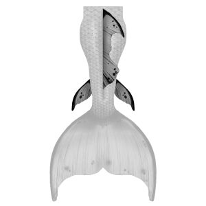 Rücken und Wadenflossen