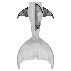 Rücken und Hüftflossen