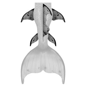 Rücken, Hüft und Wadenflossen