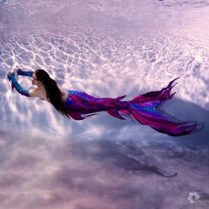 Mermaid tail Phoenix Flow