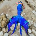 Mermaid tail Ocean Arrow
