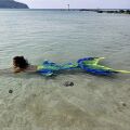 Mermaid tail Samui