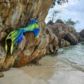 Mermaid tail Samui