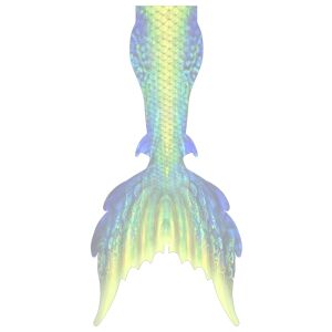 Samui keine Extraflossen