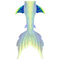 Samui hip fins

