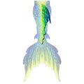 Samui dorsal fin

