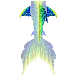 Samui Rücken und Hüftflossen