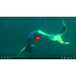 Magictail Designs spring 2024 swimming in Thailand