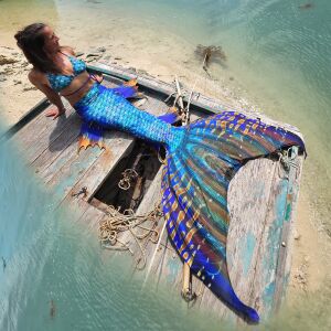 Gold Star Premium Pro XL