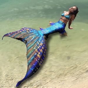 Mermaid tail Gold Star