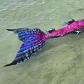 Meerjungfrauenflosse Pink Dragon
