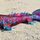 Mermaid tail Pink Dragon