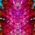 Mermaid tail Pink Dragon