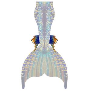 Gold Star Wadenflossen