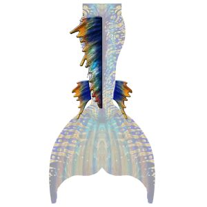 Gold Star Rücken und Wadenflossen