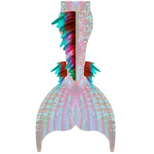 Pink Dragon dorsal and lower fins