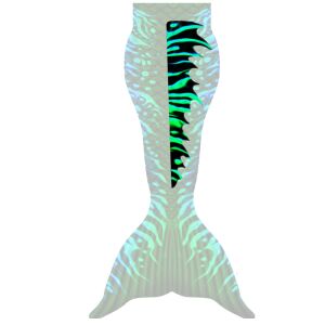 Rückenflosse Bluish Neonfish