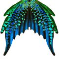 Mermaid tail Emerald Kokyra