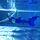 Mermaid tail Undine Azur