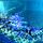 Mermaid tail Undine Azur