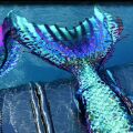Meerjungfrauenflosse Searafin Cyan