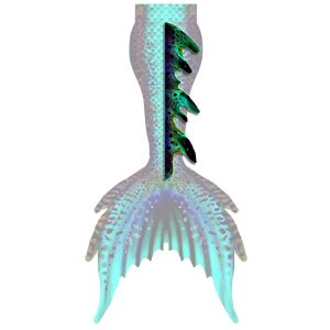 Searafin Cyan Rückenflosse