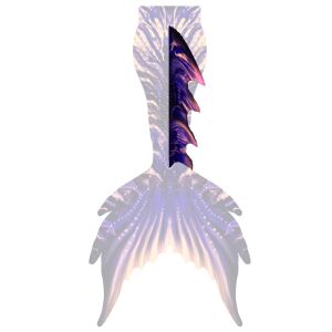 Purple Passion dorsal fin