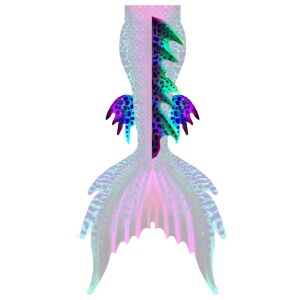 Moja Magenta dorsal and lower fins