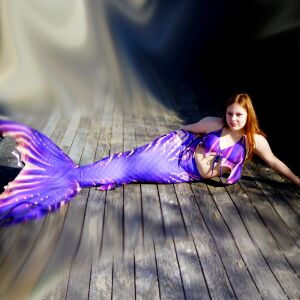 Purple Passion Premium Pro L