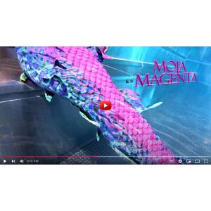 Magictail Moja Magenta video 2025