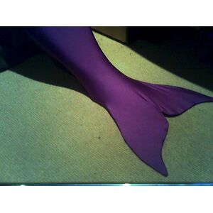 My Tail