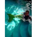Merman Fish